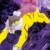 raikou_neo