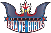 logo_bravebirds310