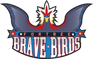 logo_bravebirds310.png