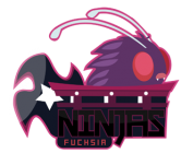 logo_ninjas310