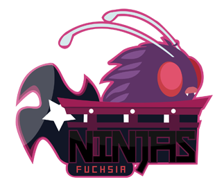 logo_ninjas310.png